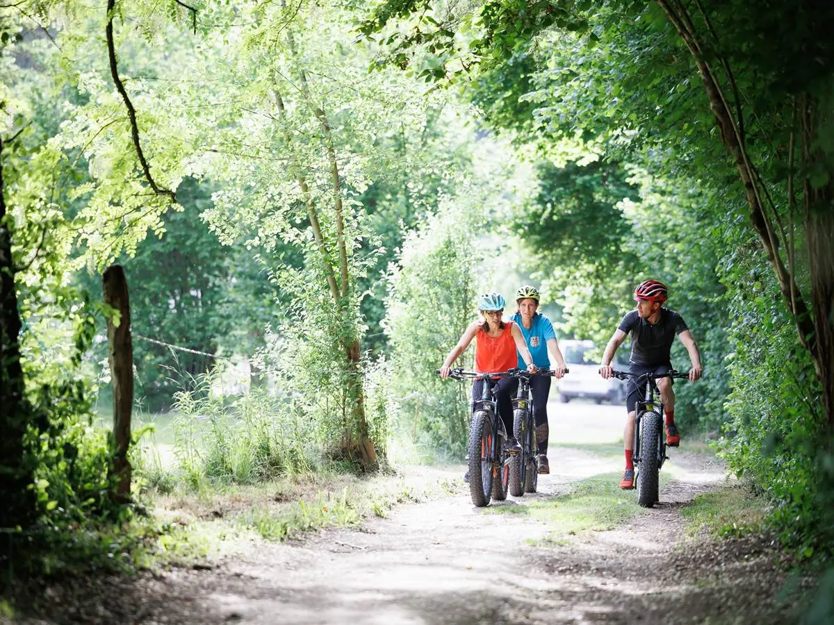 Découverte VTT Fatbike électrique