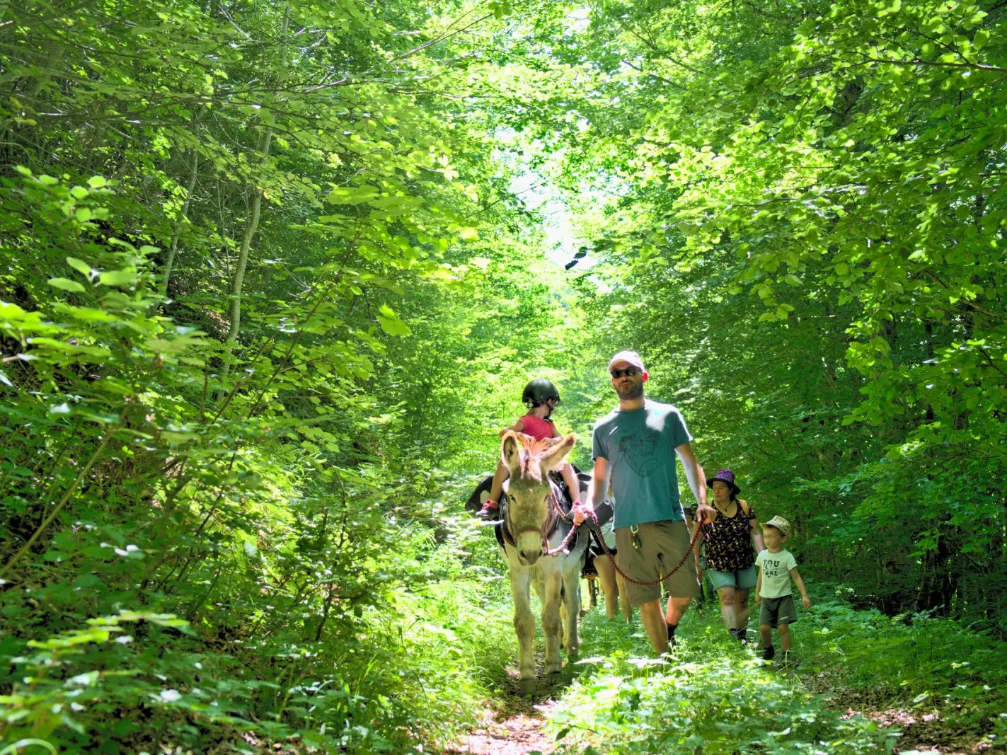 Rando âne et montagne avec Altimood