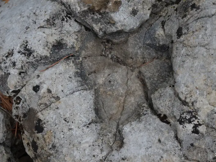 La dalle aux empreintes