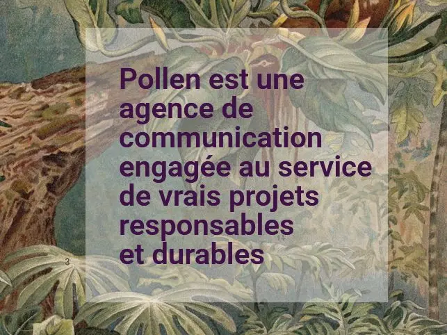 Agence Pollen Marseille