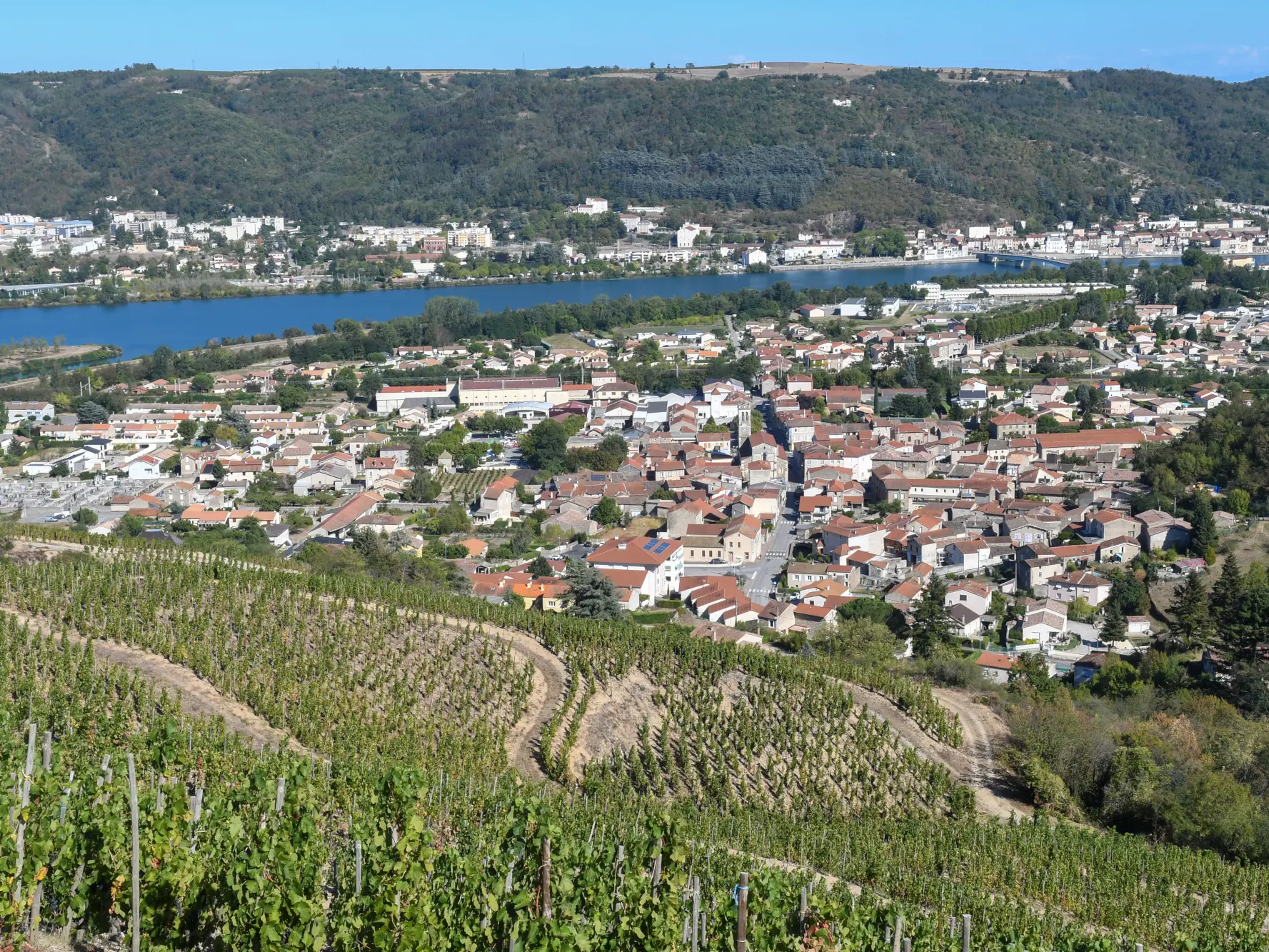 Les coteaux du Saint-Joseph_Sarras