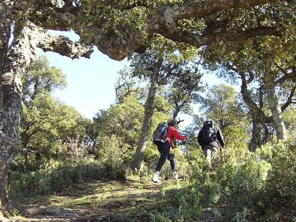 Sentier de découverte