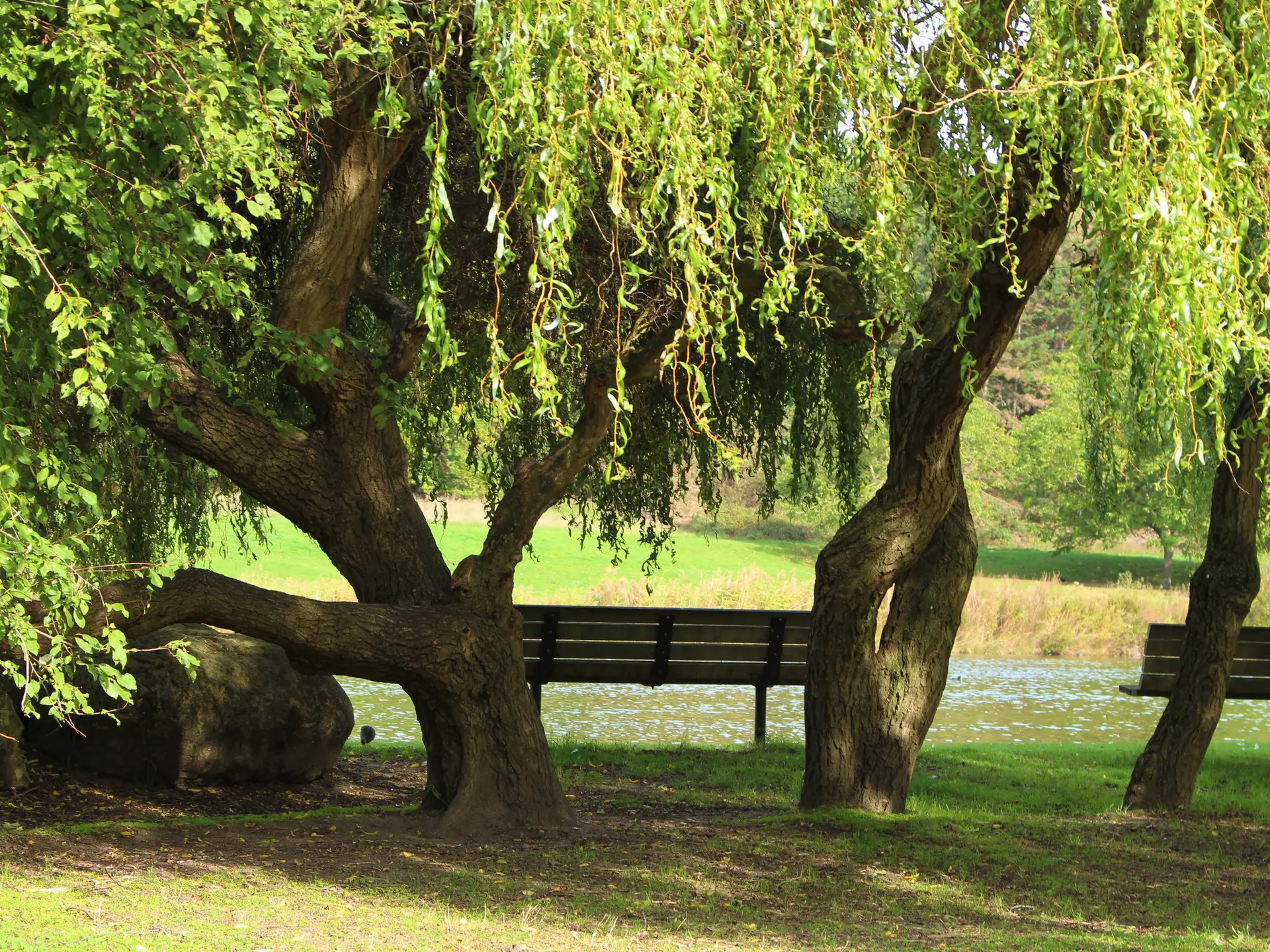 Parc Georges Valbon de La Courneuve