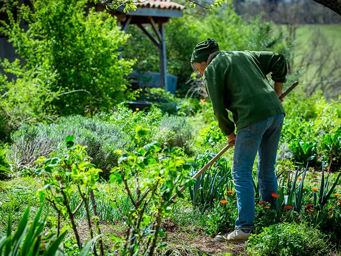 Travail dans un champ