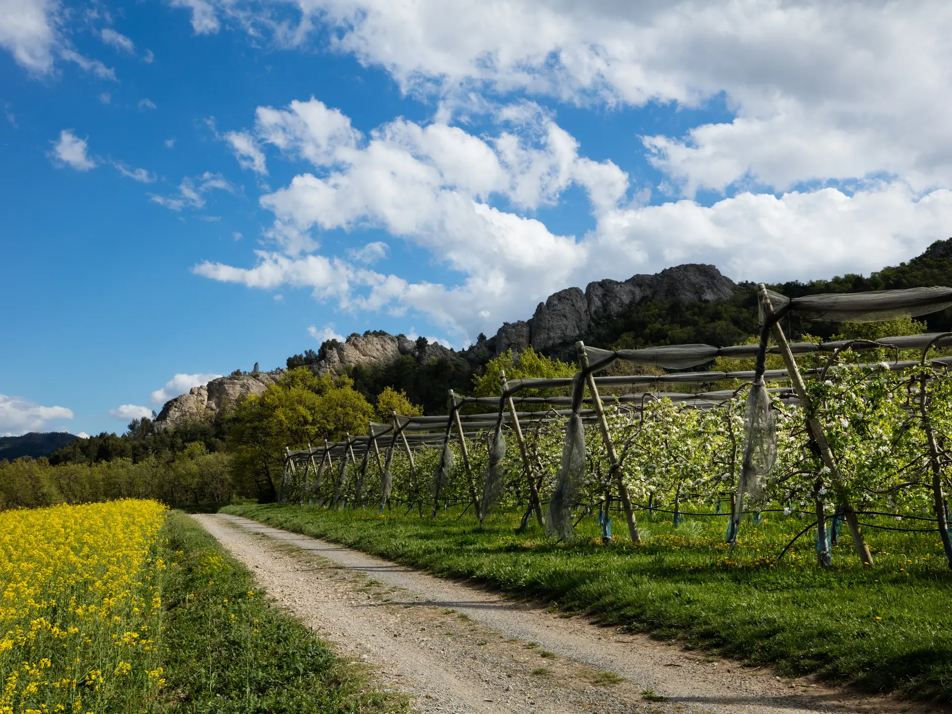 Le circuit des Bruyères