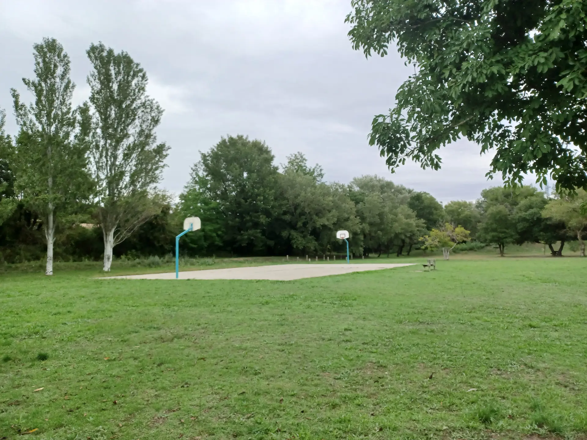 Terrain de basket