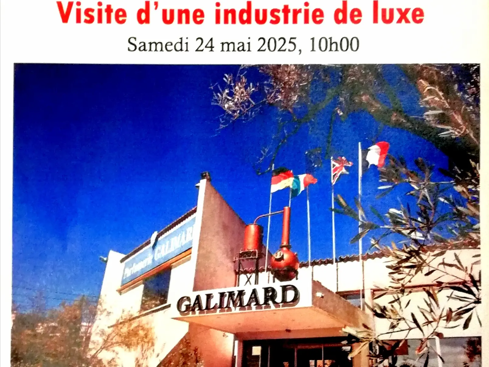 Affiche