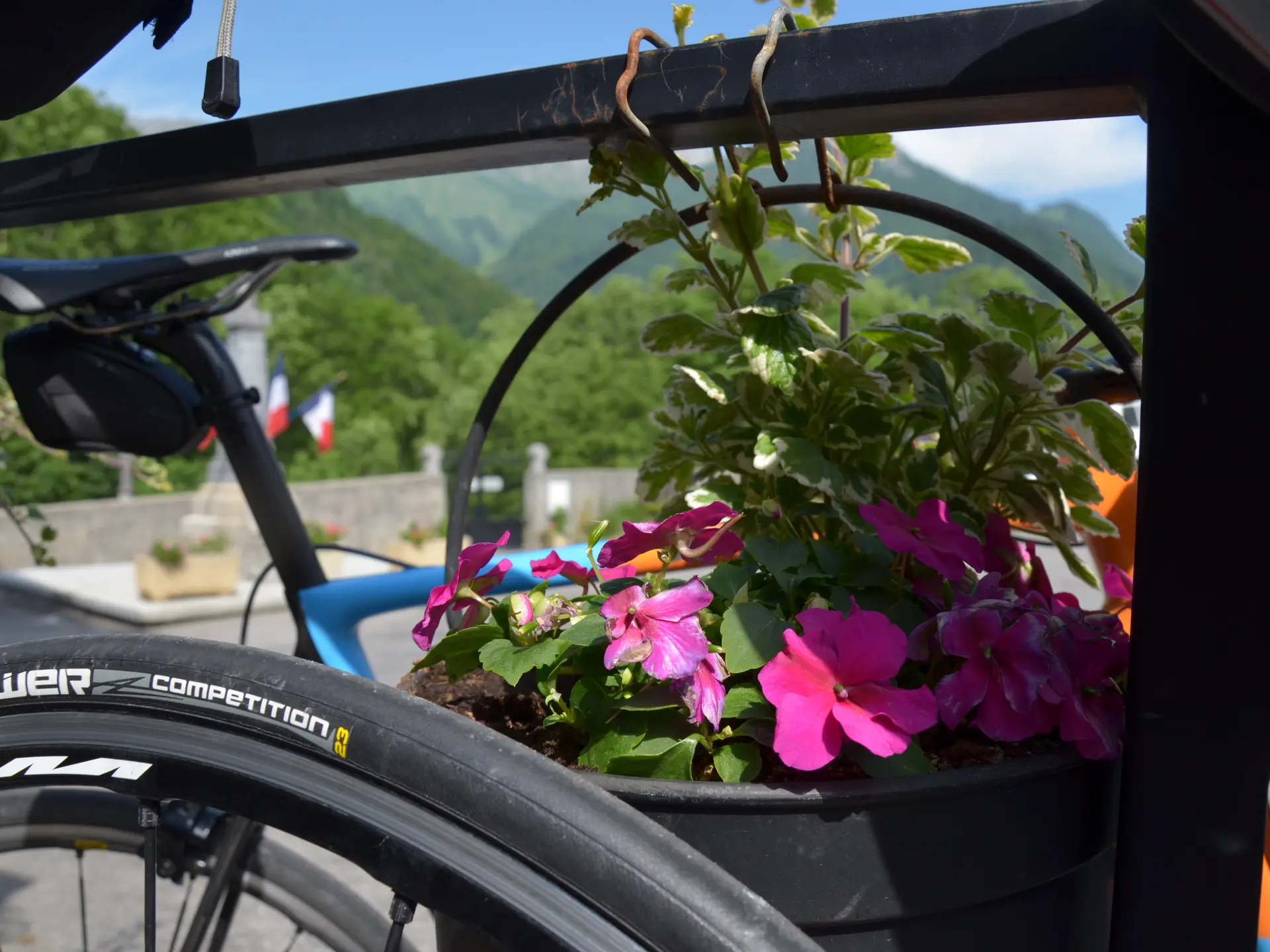 Vélo fleuri