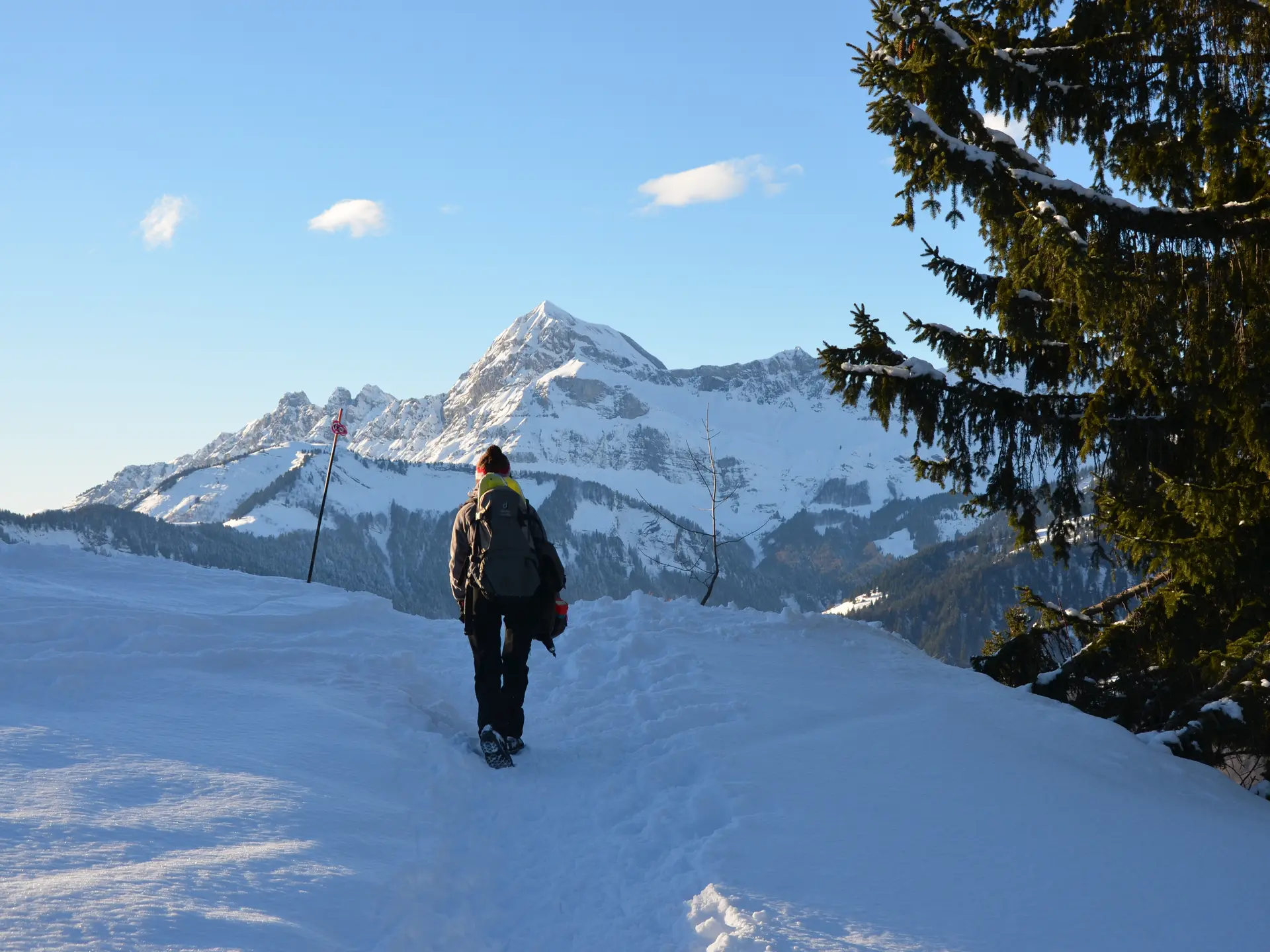 Descente du Mont Lachat à Crest-Voland / Cohennoz