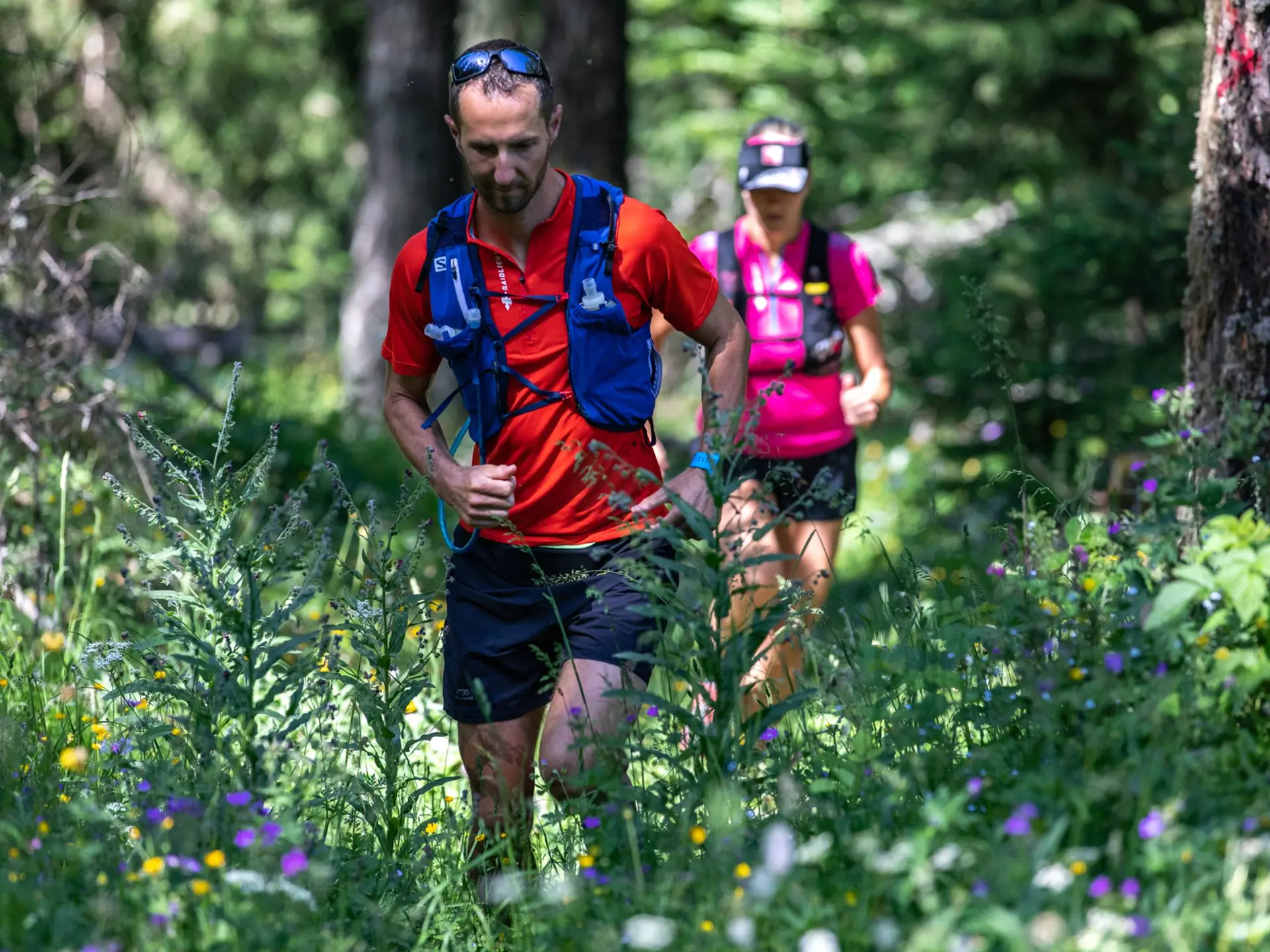 trail en forêt