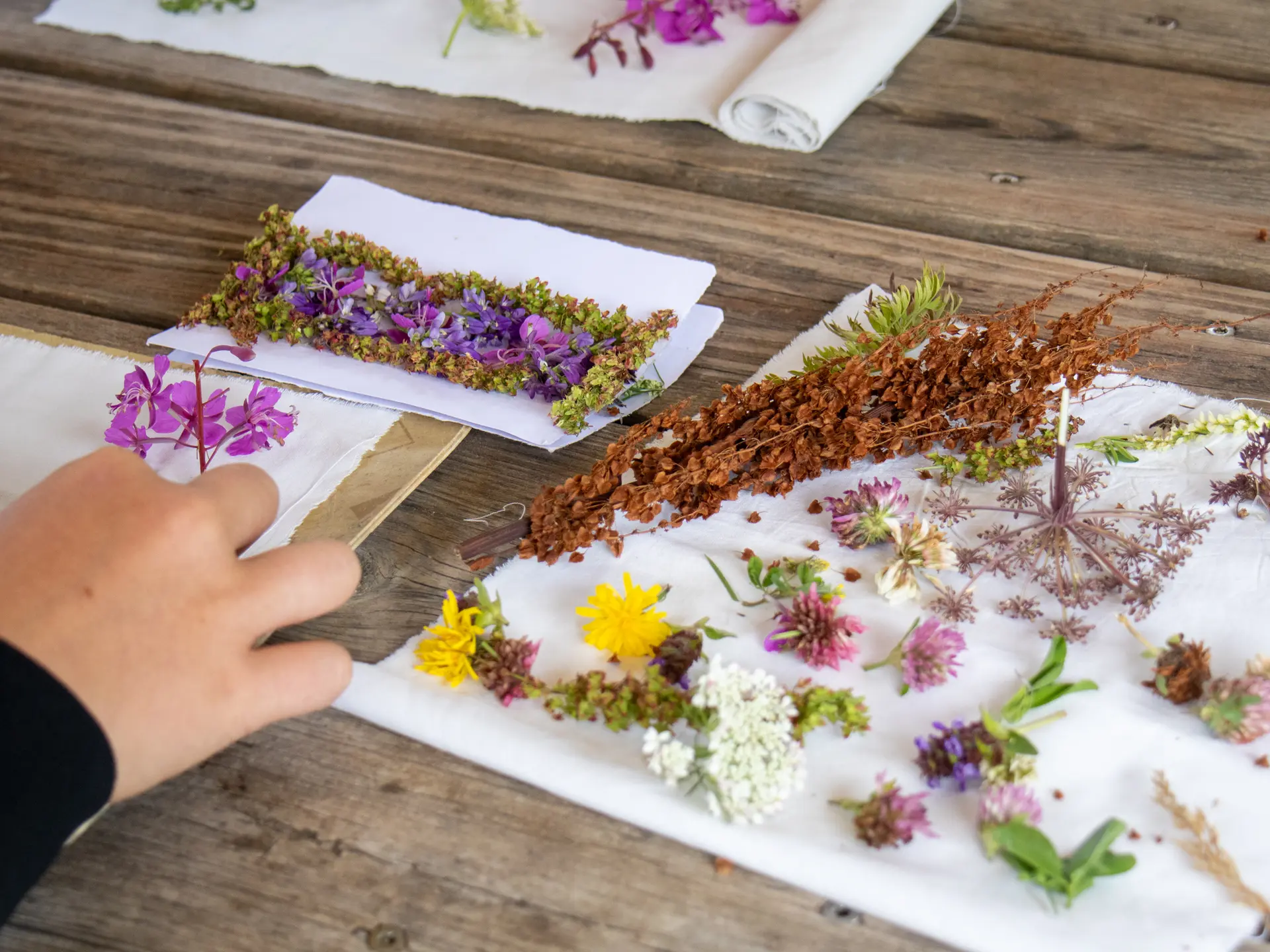 Atelier landart