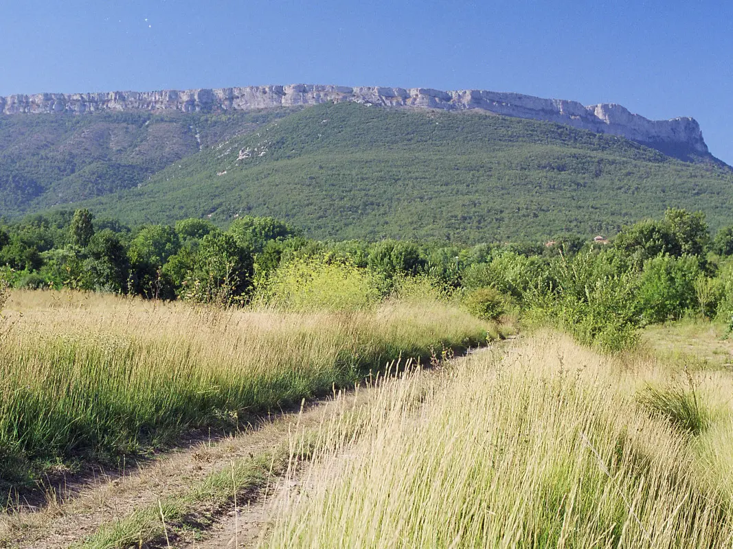 Vue sur le Mont Aurélien