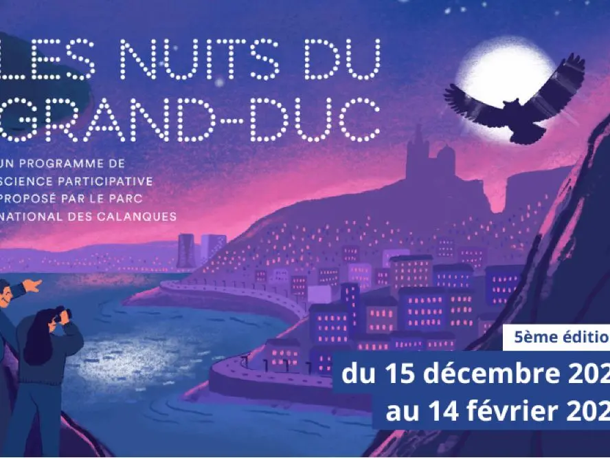 Les Nuits du Gand-Duc à Marseille