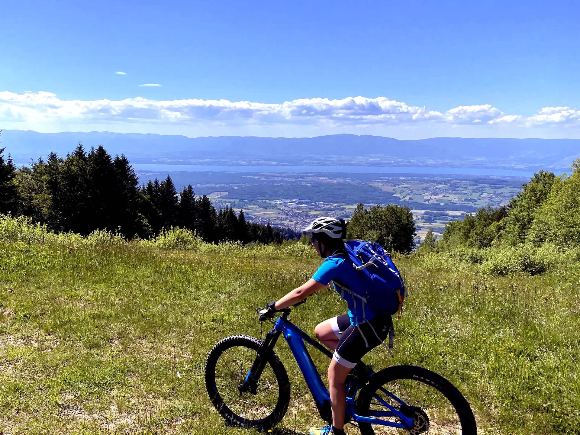 Carte Postale du Léman au Mont-Blanc