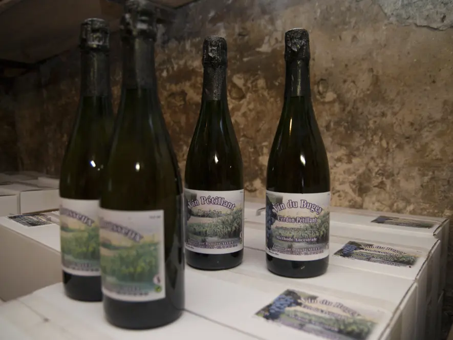 Vins du Bugey