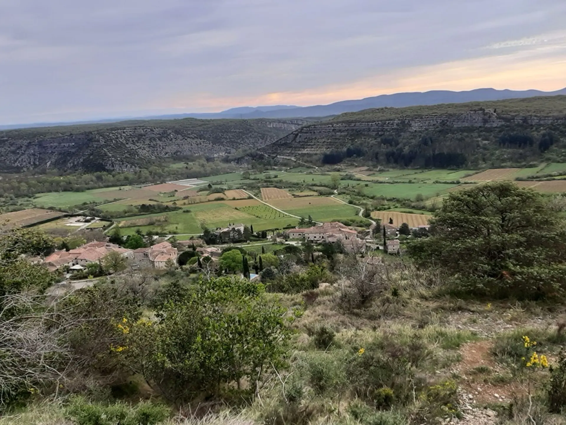 La colline des oliviers