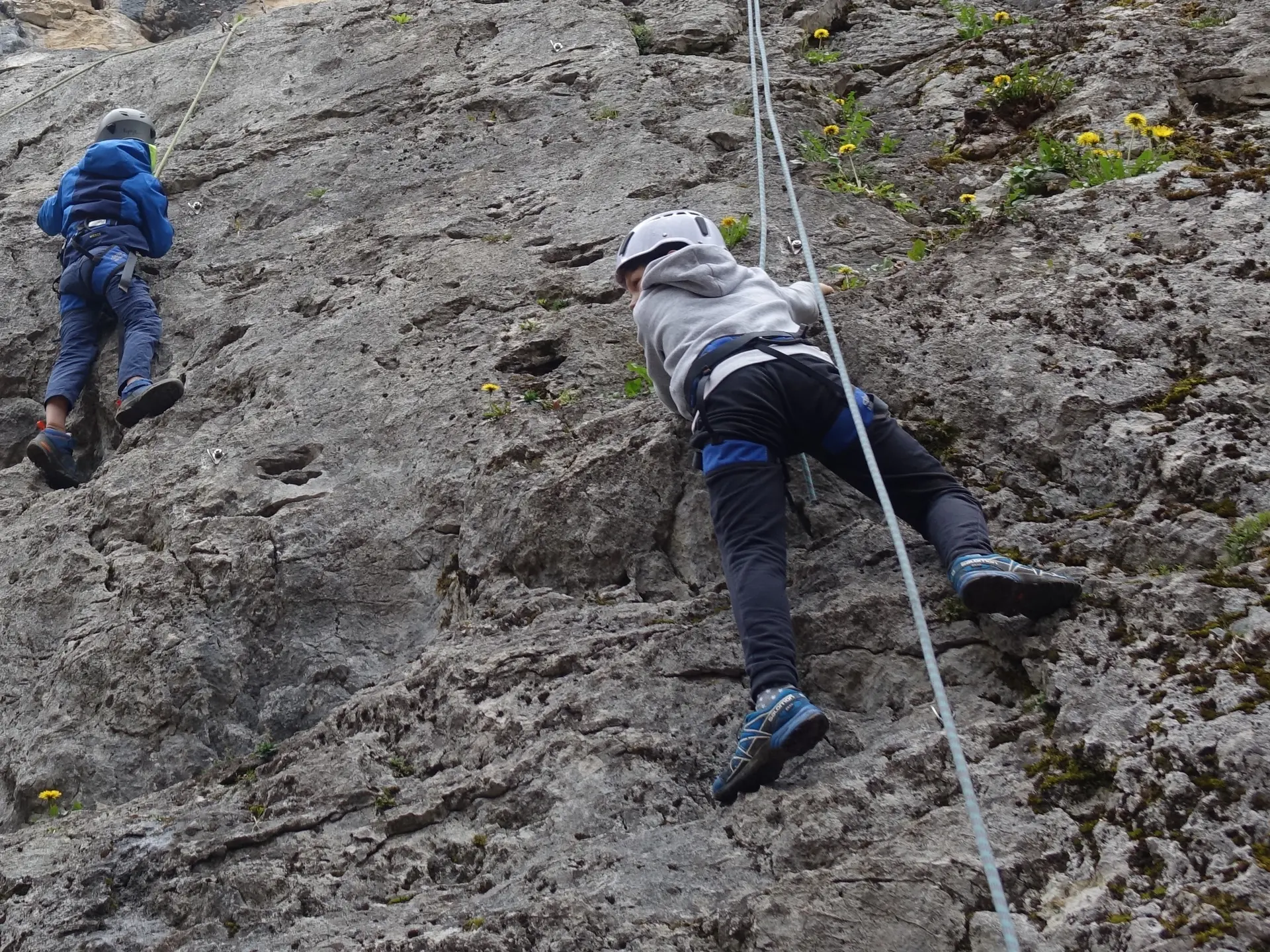 Blocs de la Maladière