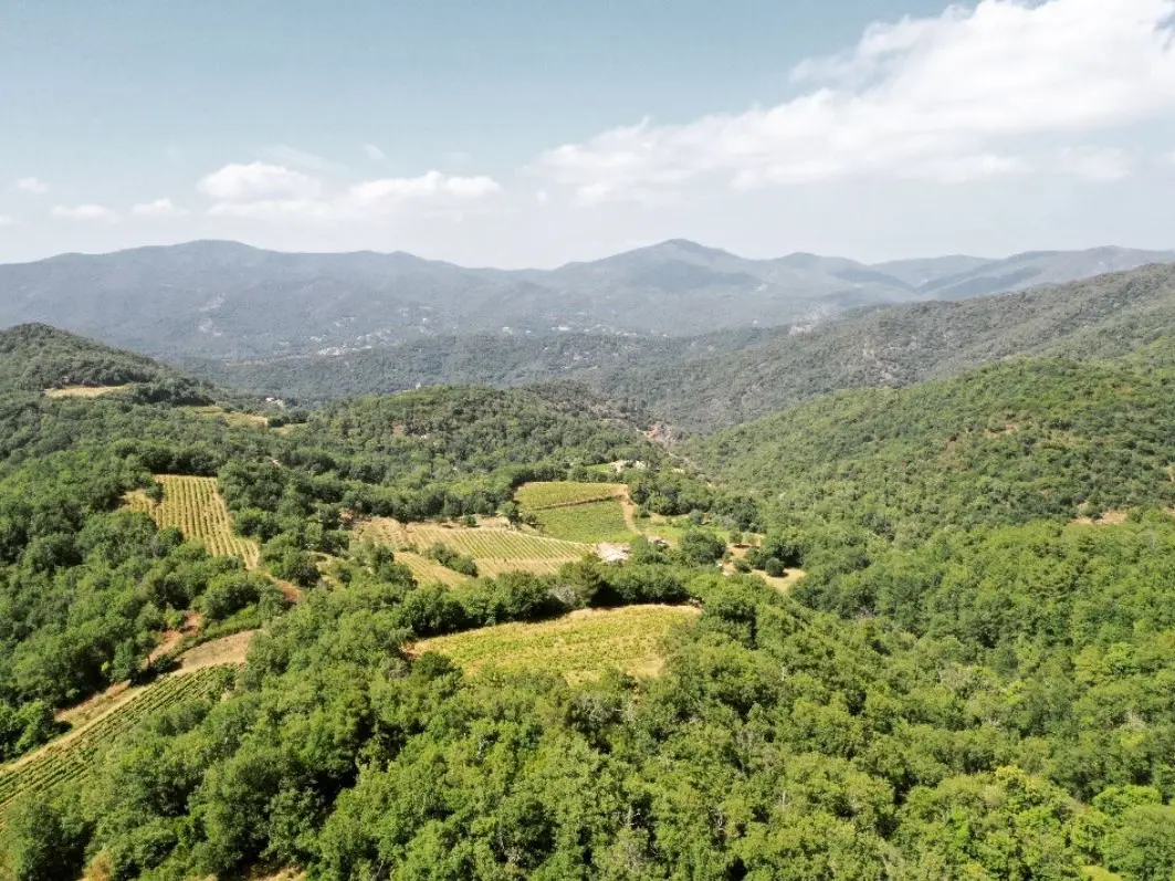 Domaine de l'Avellan à Collobrières