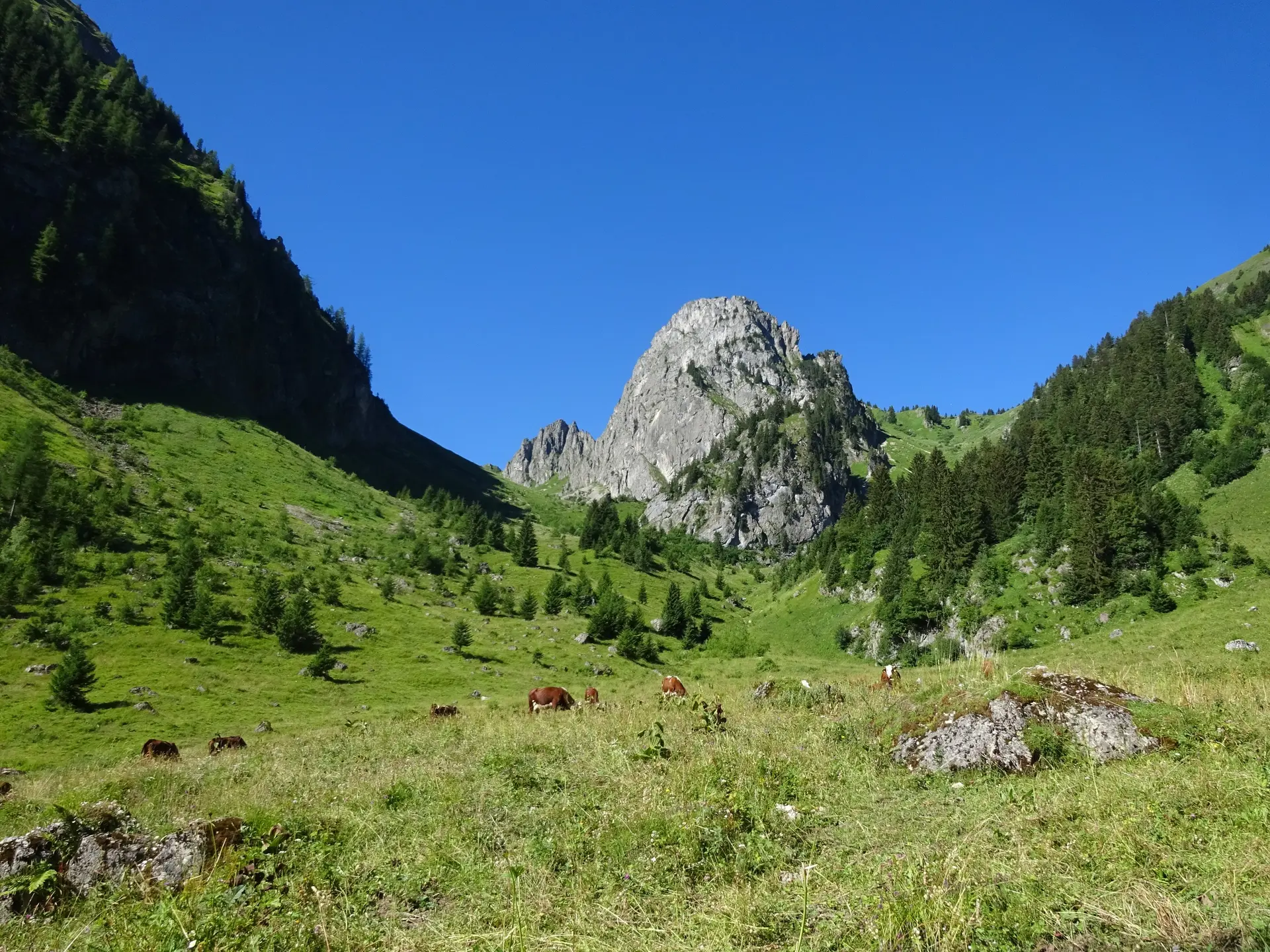 Le Mont Brion Abondance