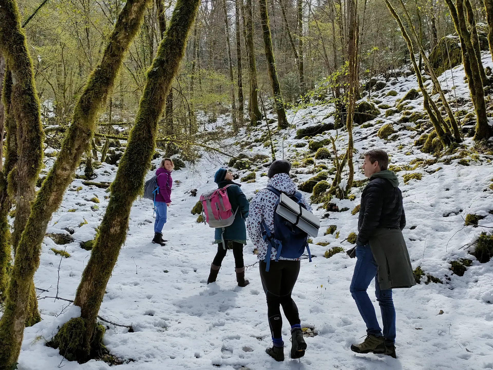 Sortie nature hiver