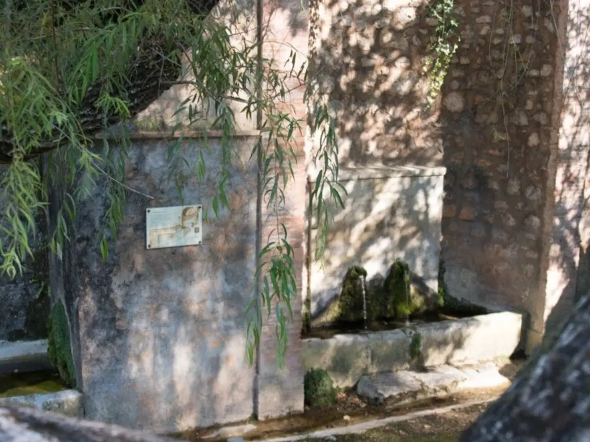 Vieille Fontaine à Mougins