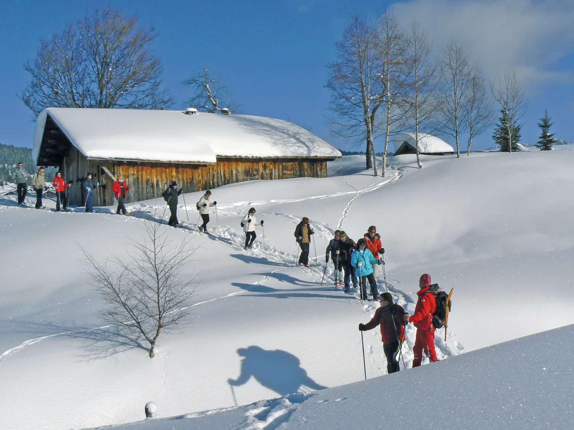 Randonnée en raquettes aux Saisies