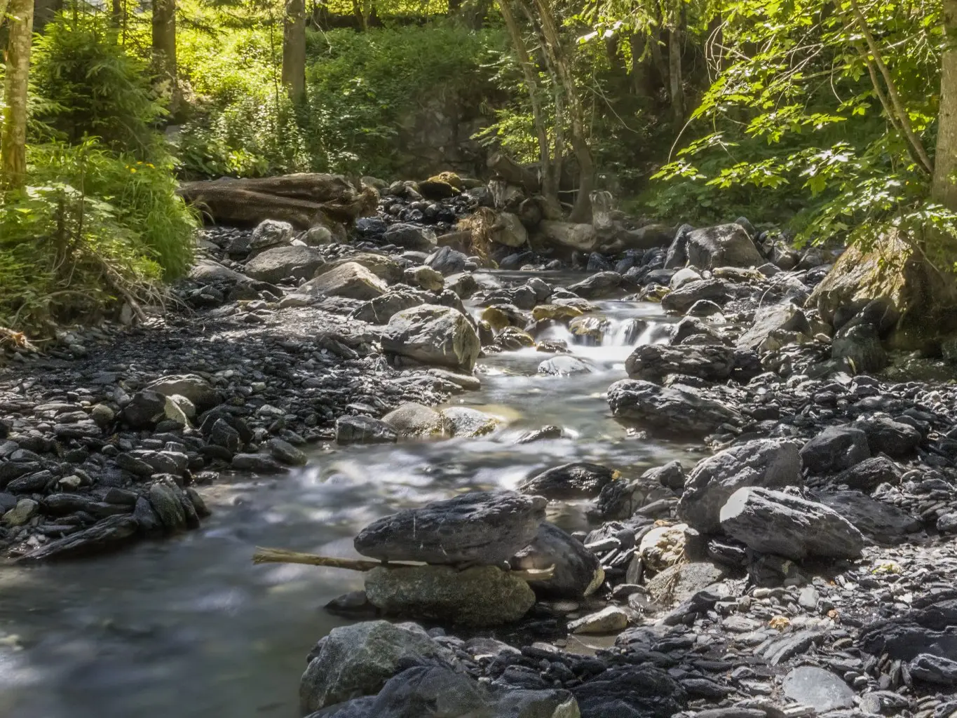 Torrent de la Jorasse