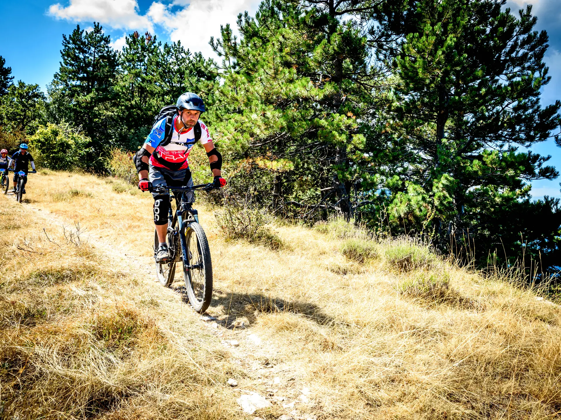 Le Chemin des Oliviers