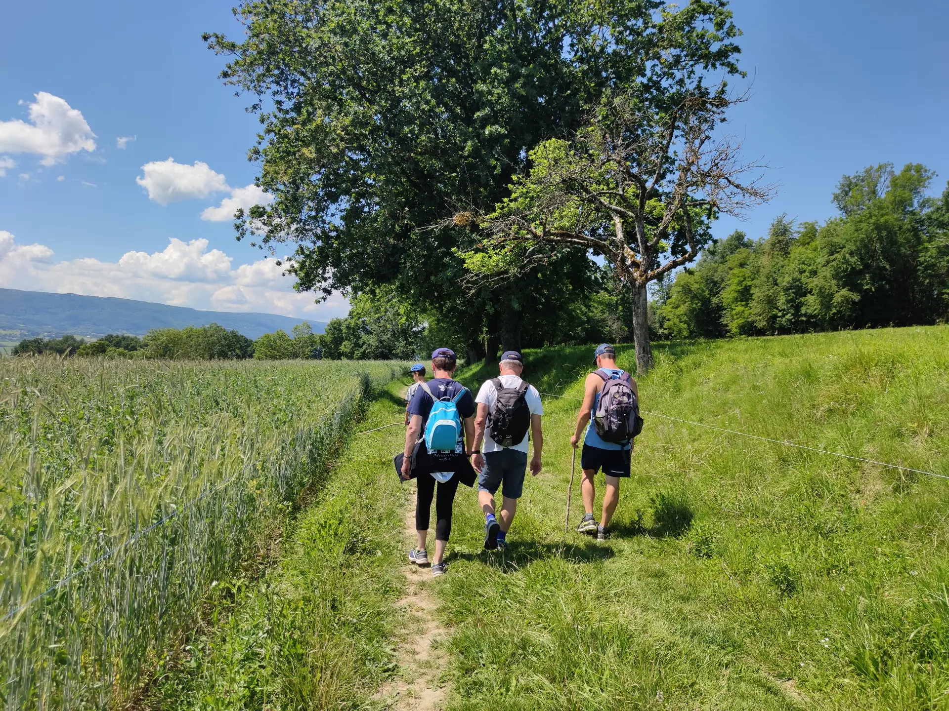 Sentier de la Pomme - Rumilly - Boussy