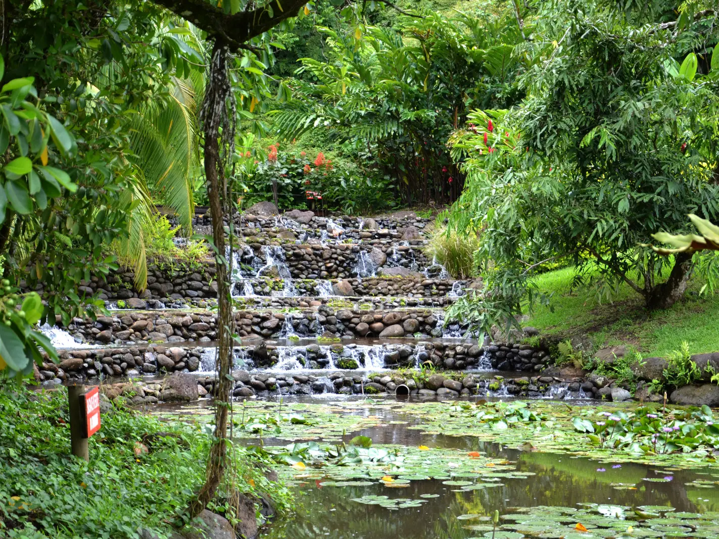 Jardins d'eau de vaipahi