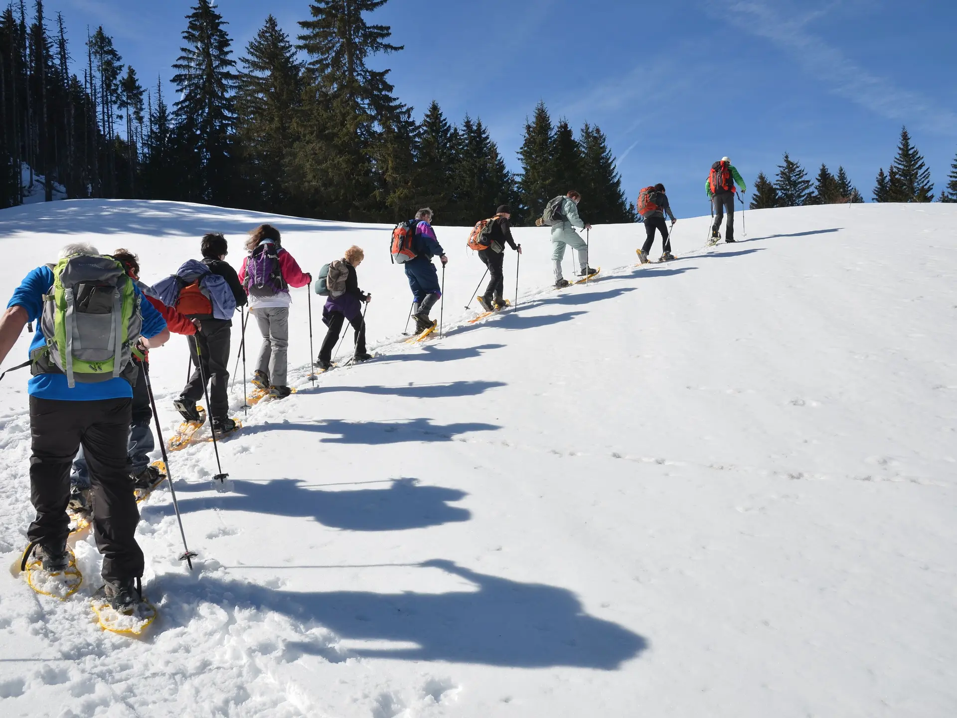Rando raquettes journée en vallée d'Abondance