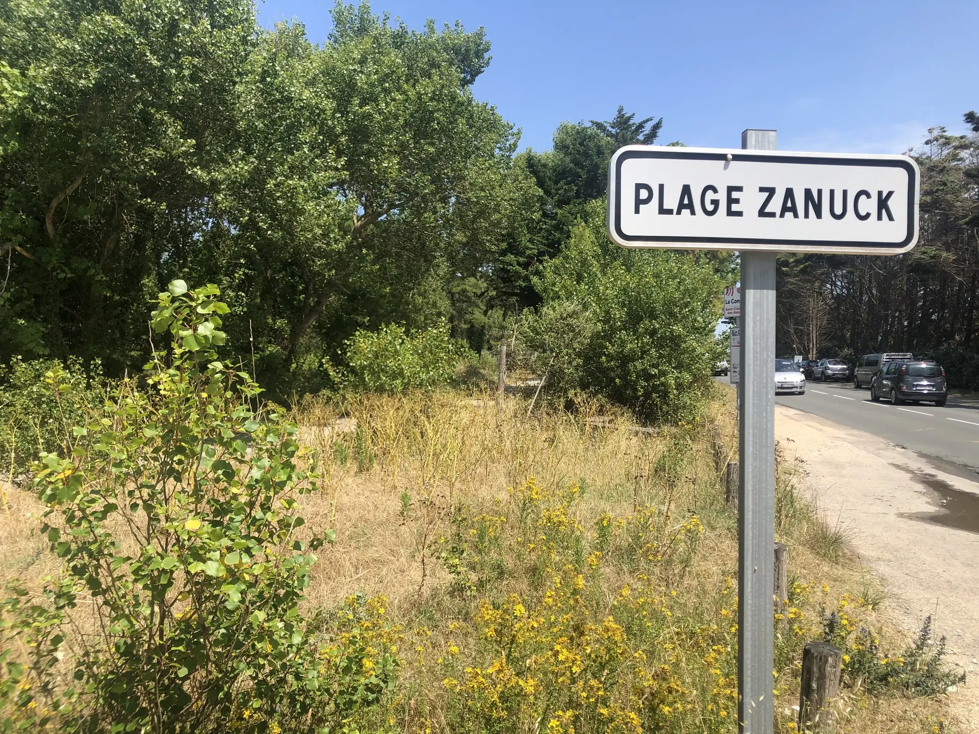 Pas de Zanuck