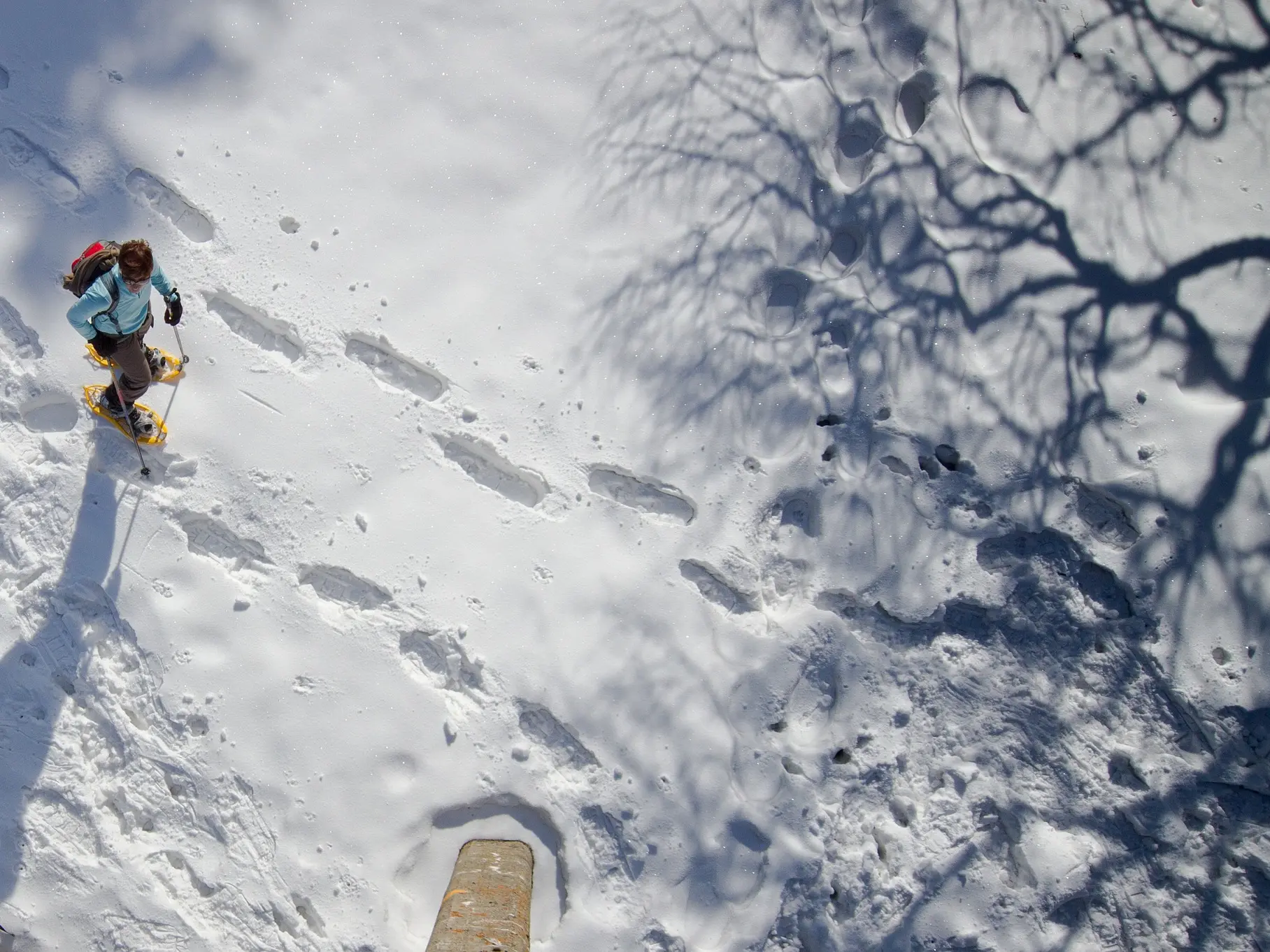 une semaine en raquettes dans les Hautes Vallées