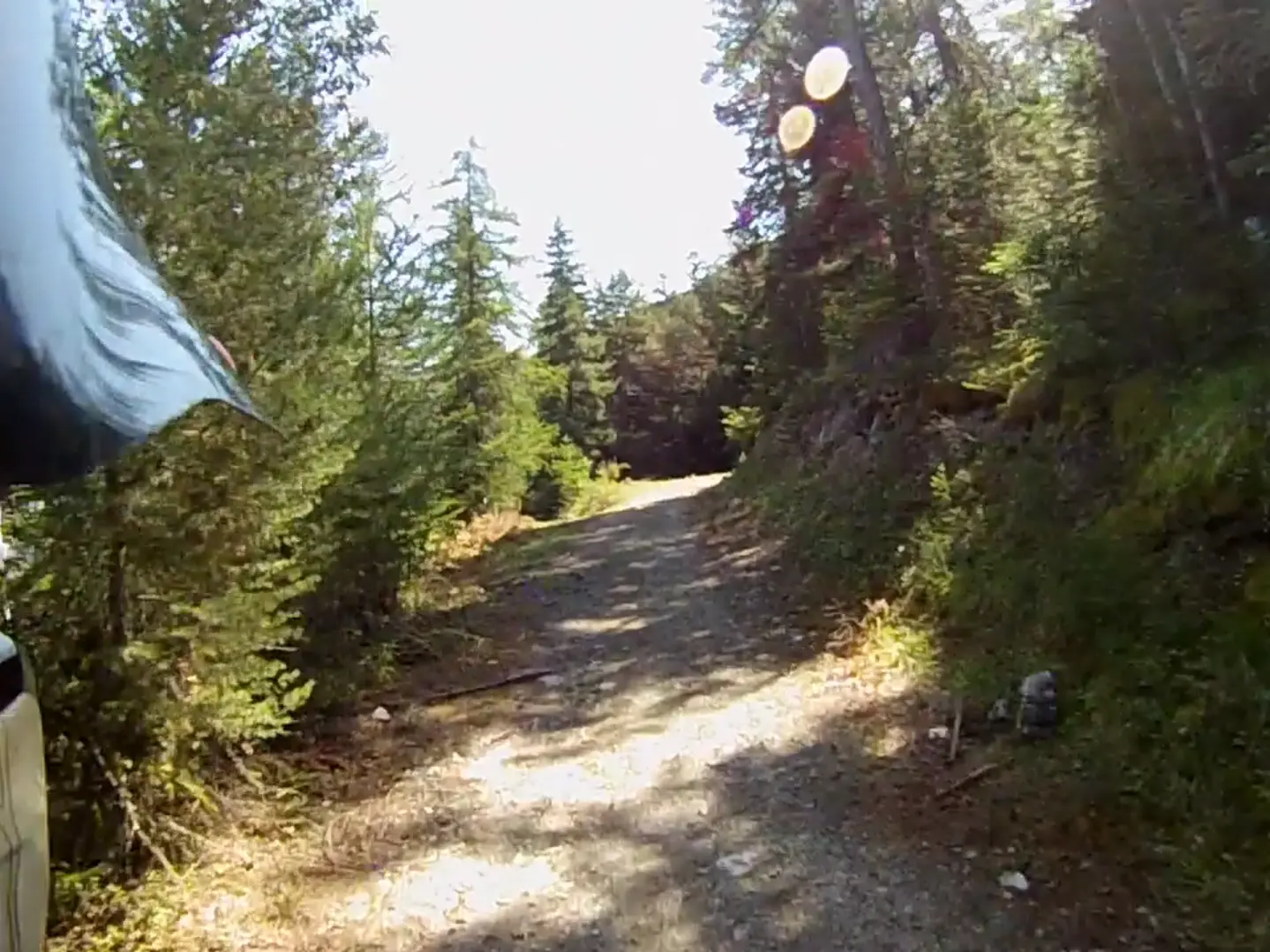 Traversée en forêt au-dessus de Montgenèvre