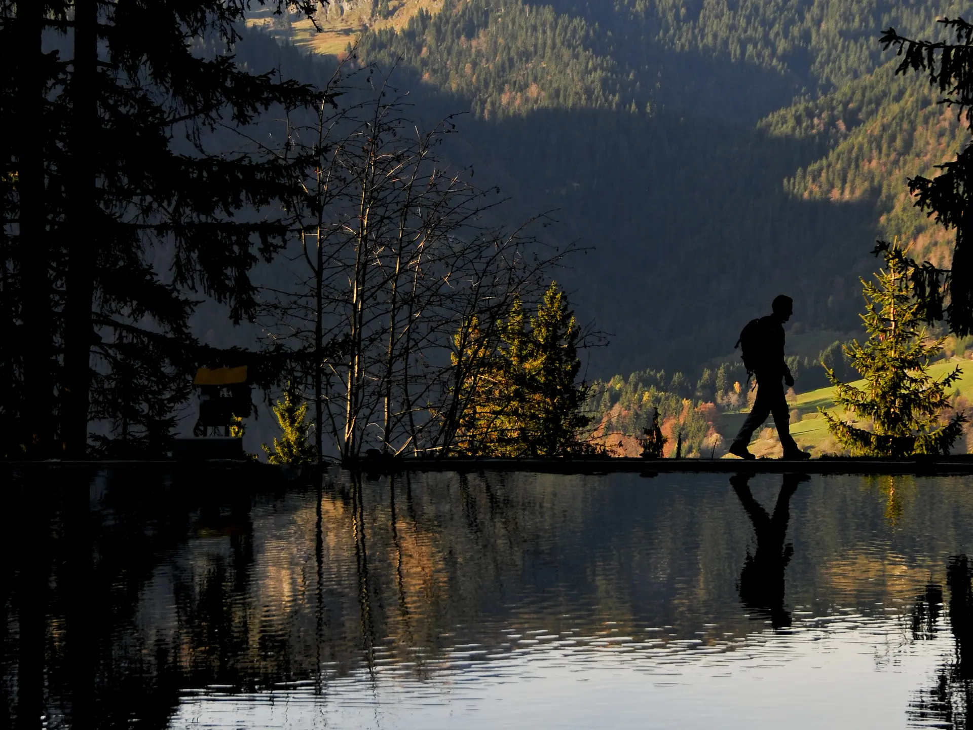 Promeneur au bord du lac