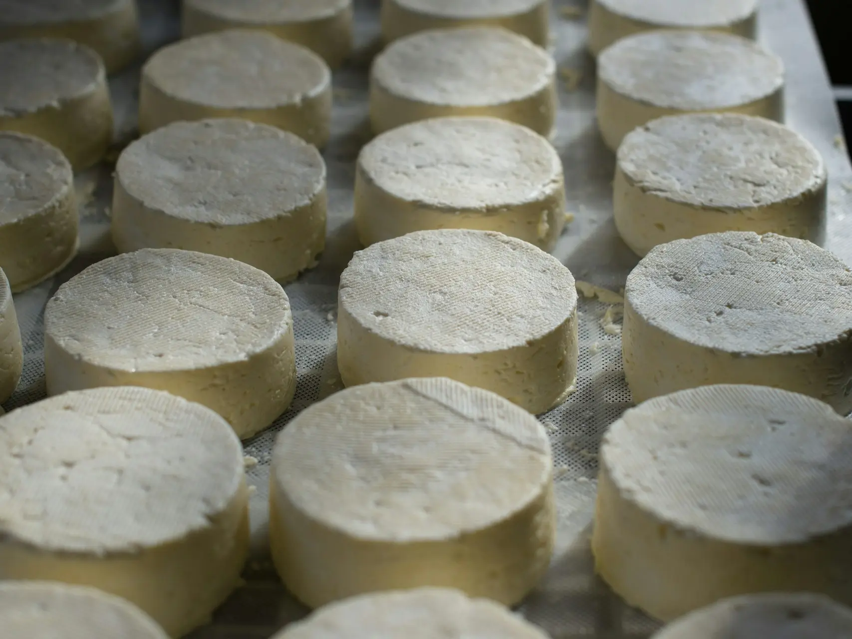 Atelier du lait au fromage