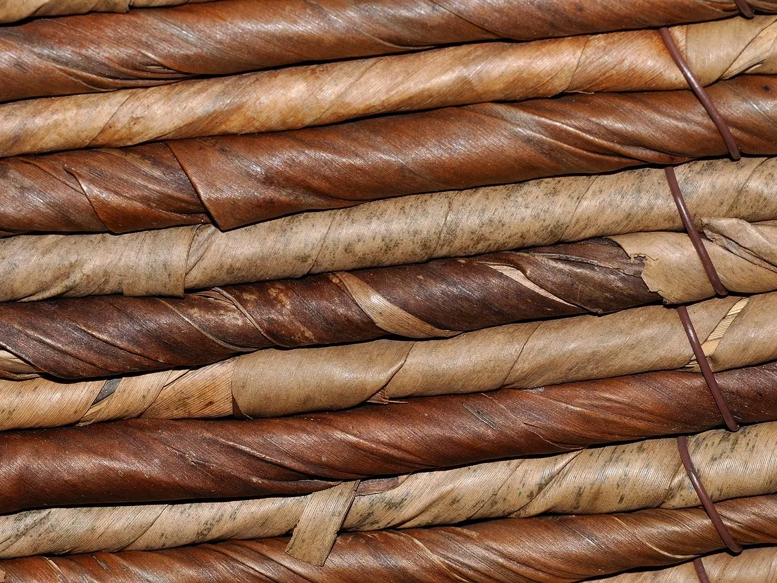 Vannerie sauvage_Arcon