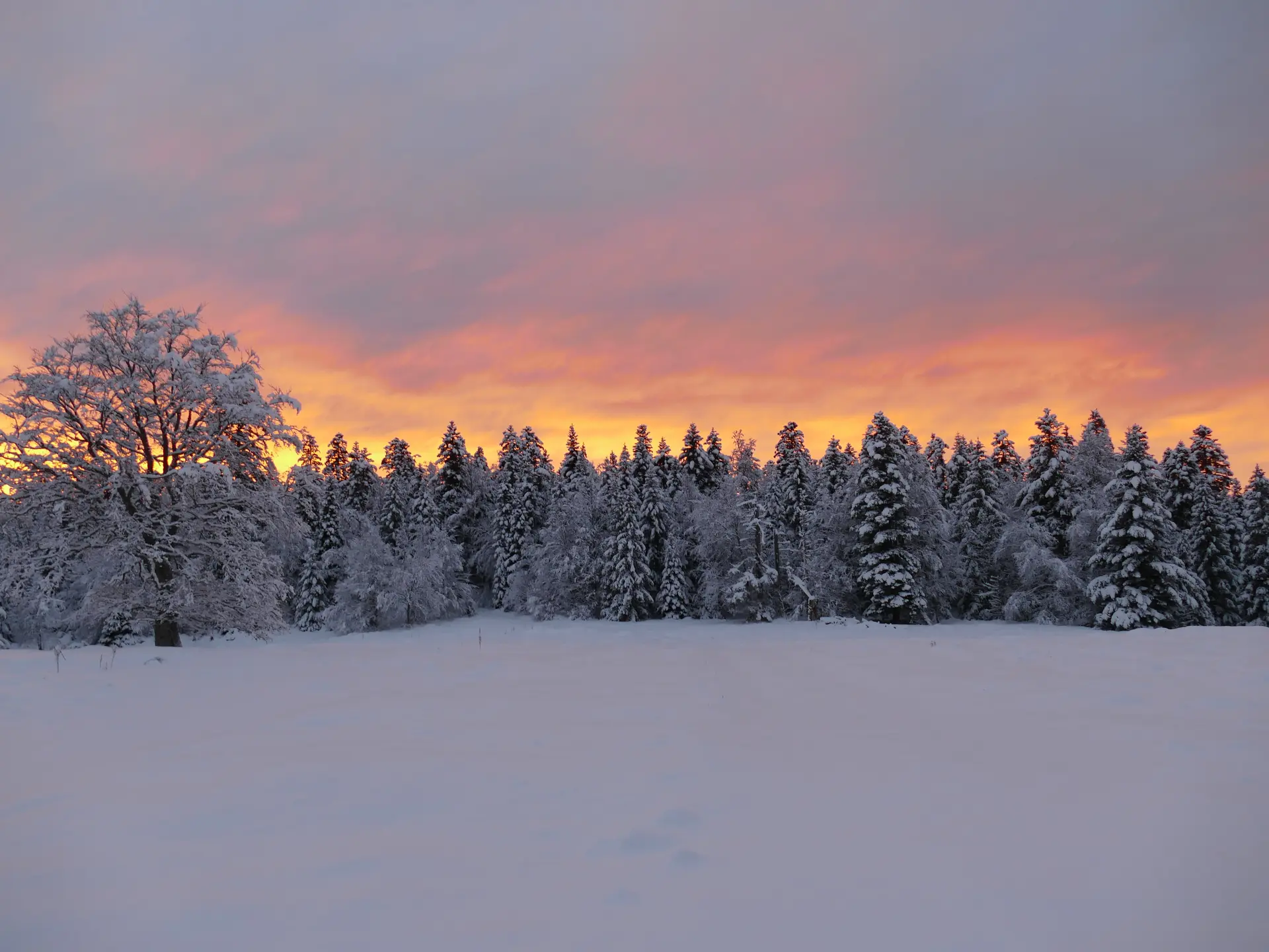 Notre nature dans le Vercors