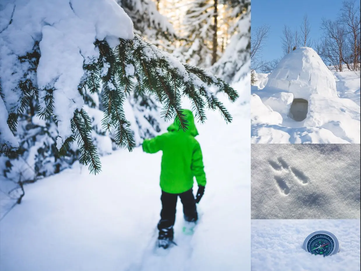 Enfant dans la forêt + traces d'animaux dans la neige + igloo