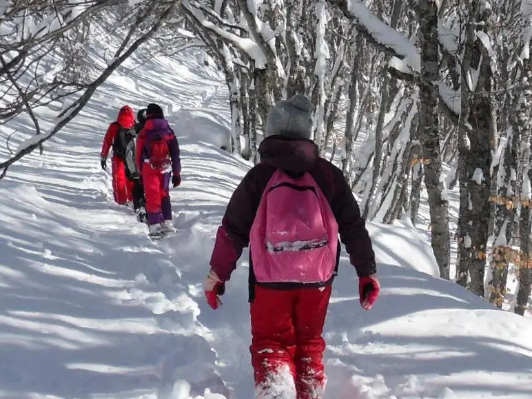 Sortie en raquettes avec le bureau des accompagnateurs en montagne