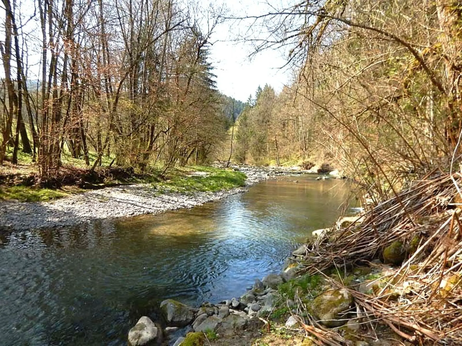 La Menoge pêche à la mouche