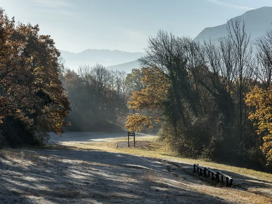 Forêt des Monts