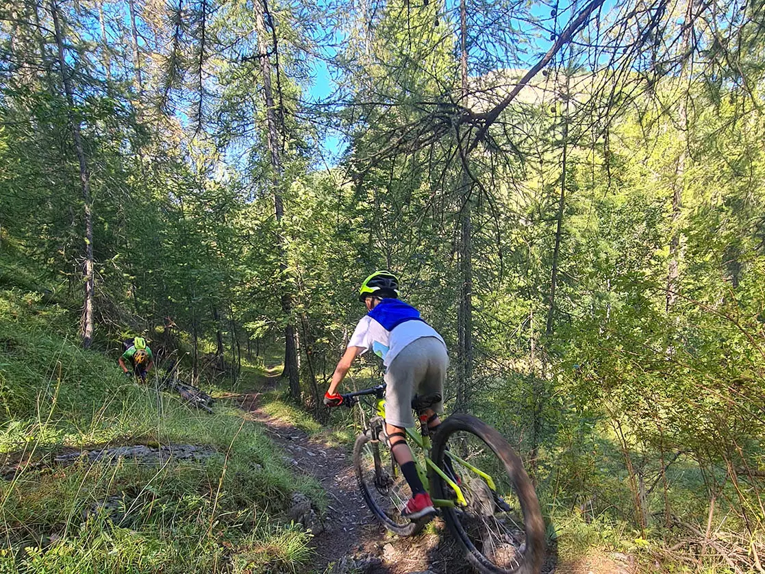 Deux pratiquants de VTT AE dévalant un sentier de terre situé en pleine forêt ensoleillé de conifères