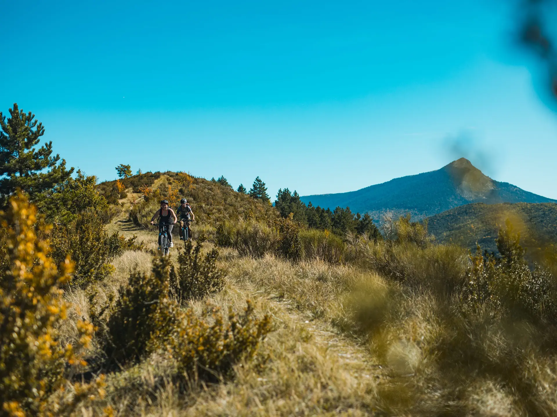 VTT la chalvet et sa forêt