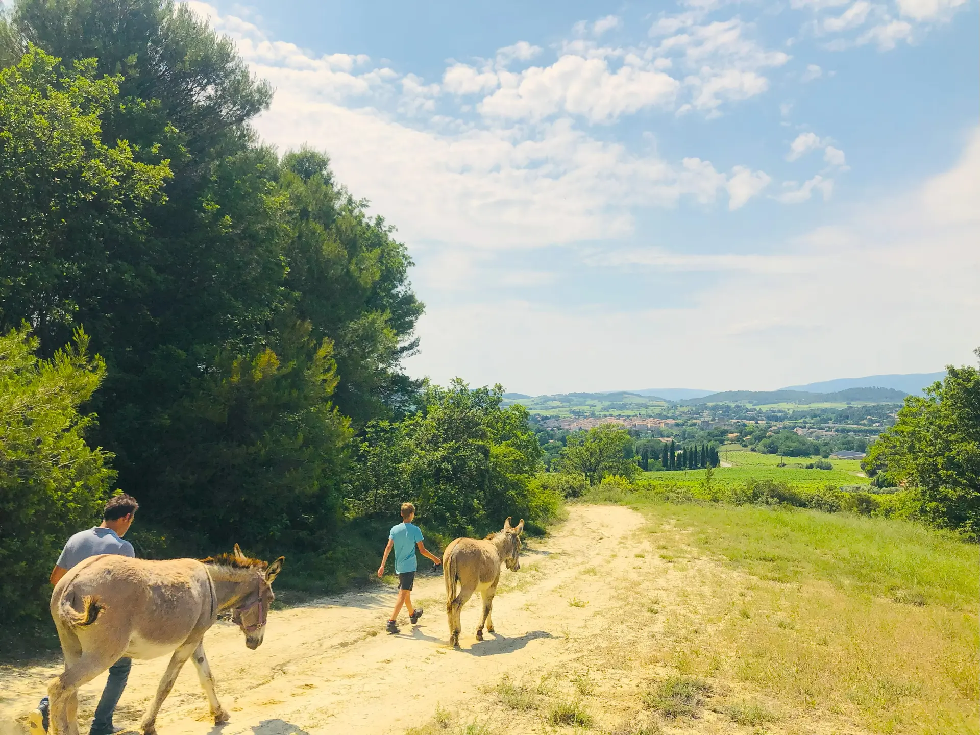 Balade avec des ânes au départ de La Tour d'Aigues_La Tour-d'Aigues