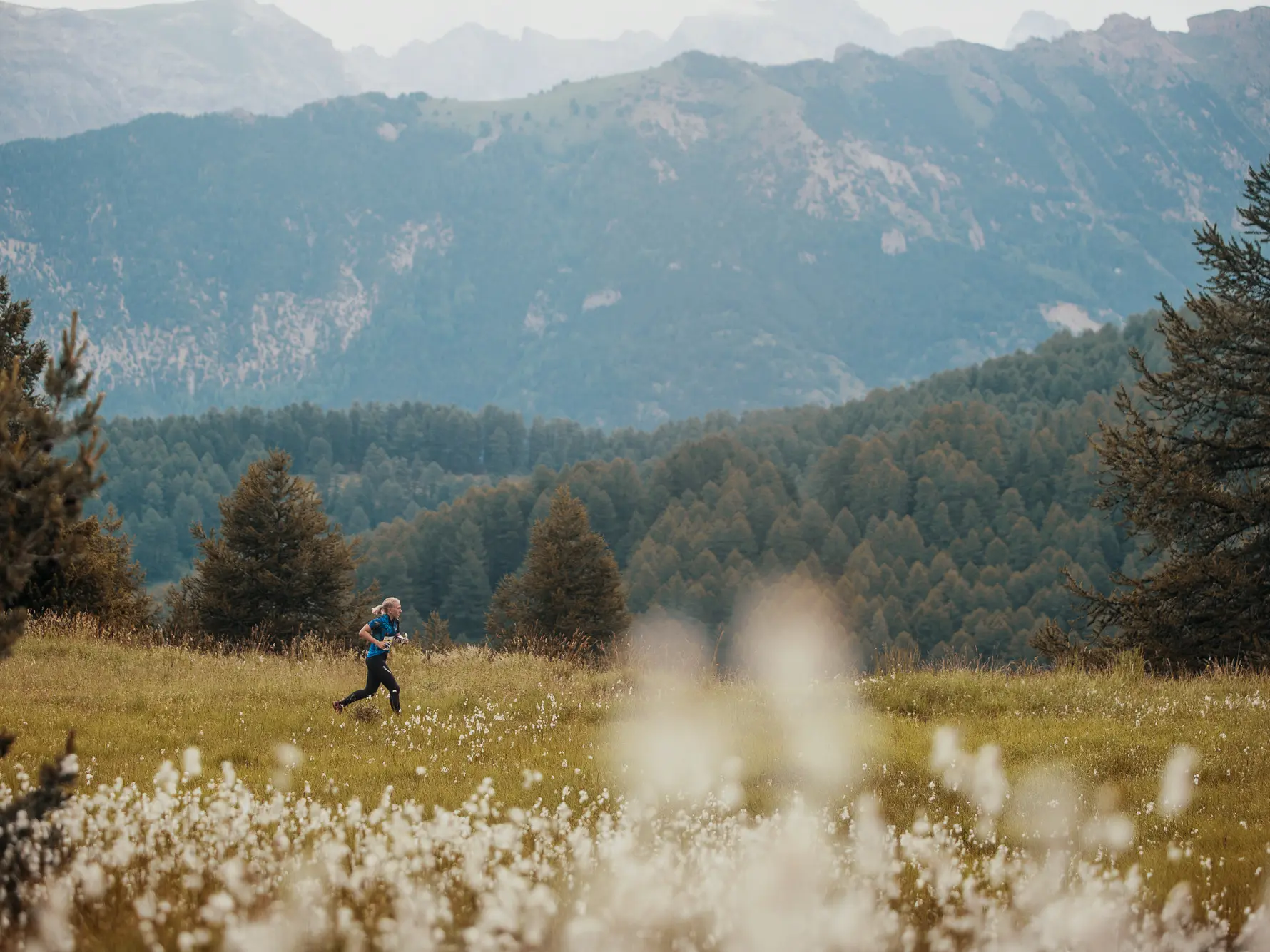 Parcours d'orientation Risoul 1850