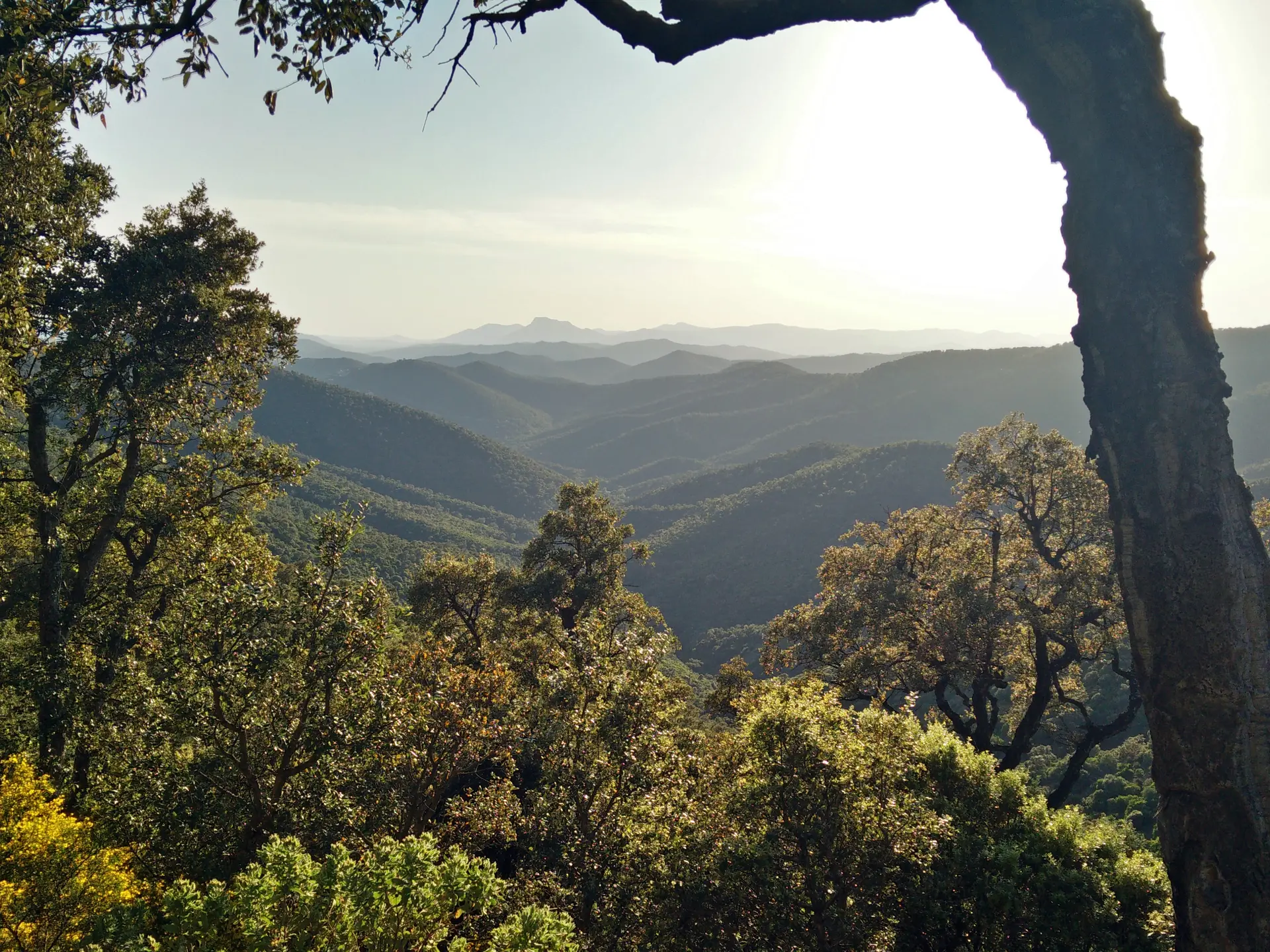 Massif des Maures