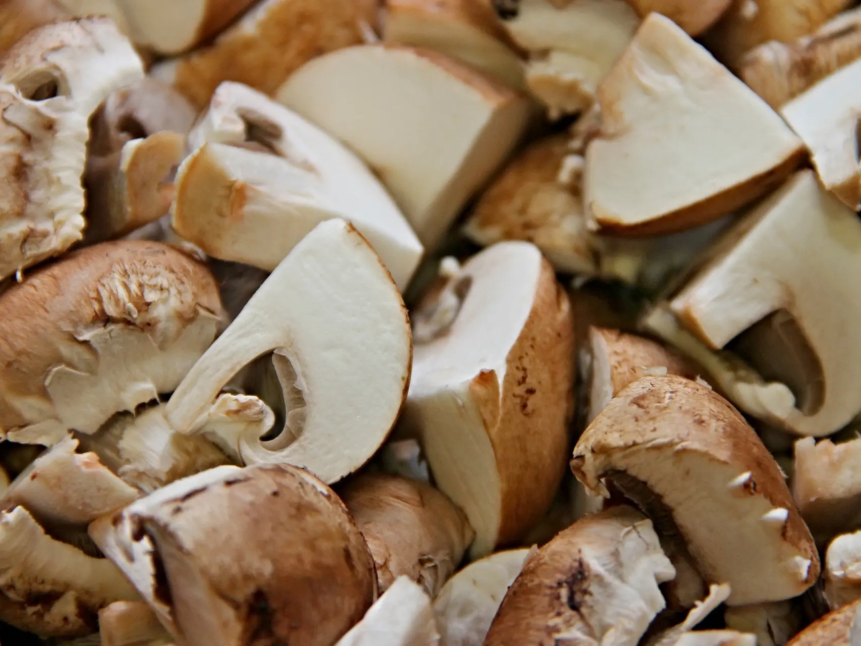 Producteur de champignons