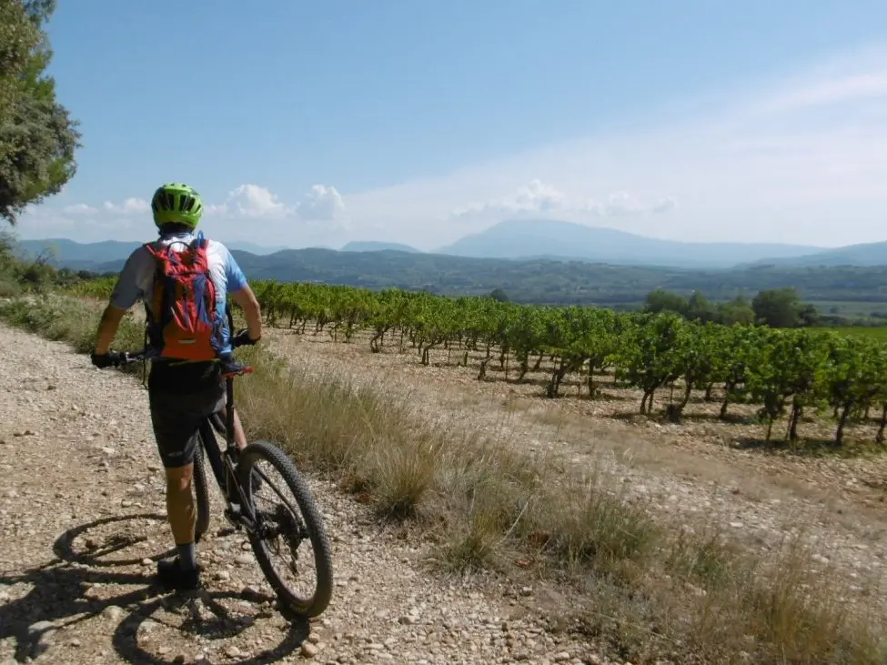 Entre vignes et panoramas
