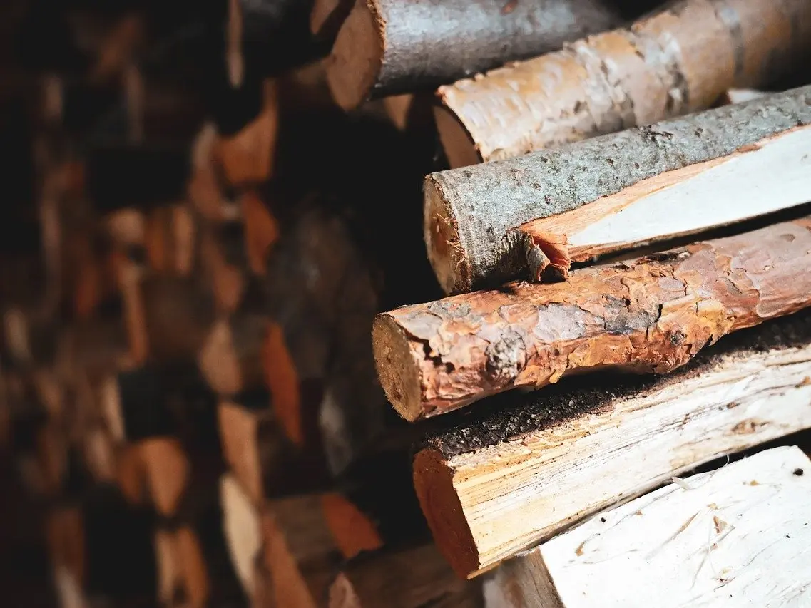 Construction de cabane_Arcon